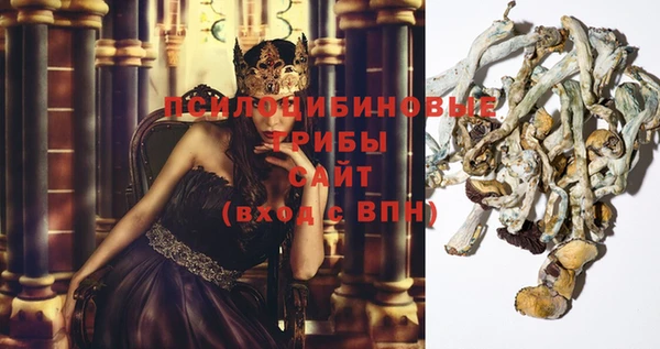 прущая мука Богданович