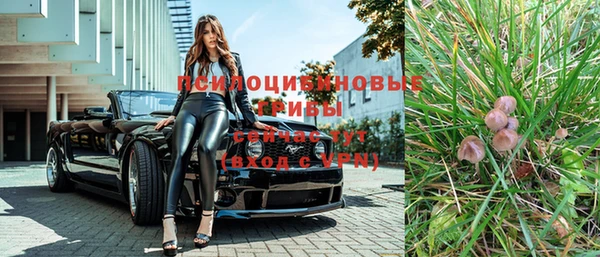 кокс Белокуриха