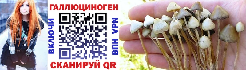 Галлюциногенные грибы GOLDEN TEACHER  ссылка на мегу   Кимовск  купить наркоту 